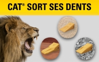 CAT® SHOWS ITS TEETH